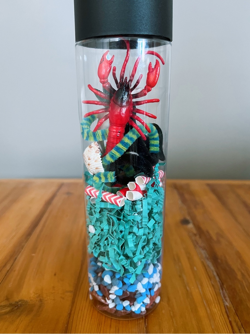 Ocean-Themed Medium Size Sensory Kit - Lobster, Dolphin and Eel - Kids Toys